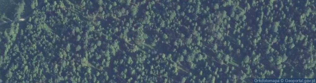 Zdjęcie satelitarne Uroczysko Jałowce
