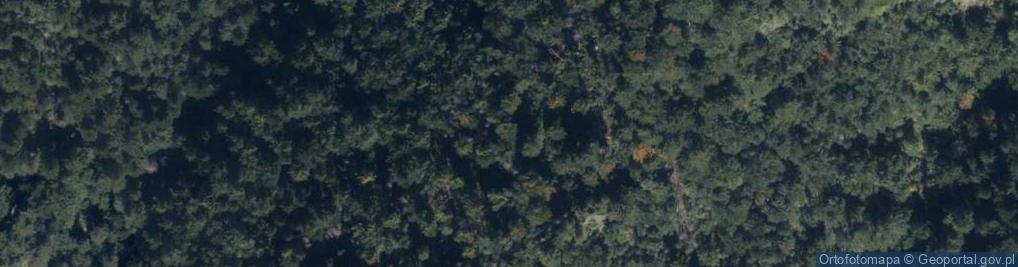 Zdjęcie satelitarne Uroczysko Jasowe Turnie