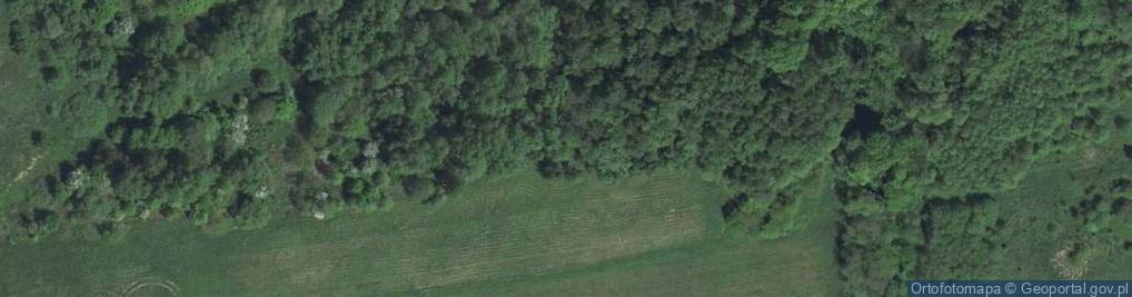 Zdjęcie satelitarne Uroczysko Jaworowa