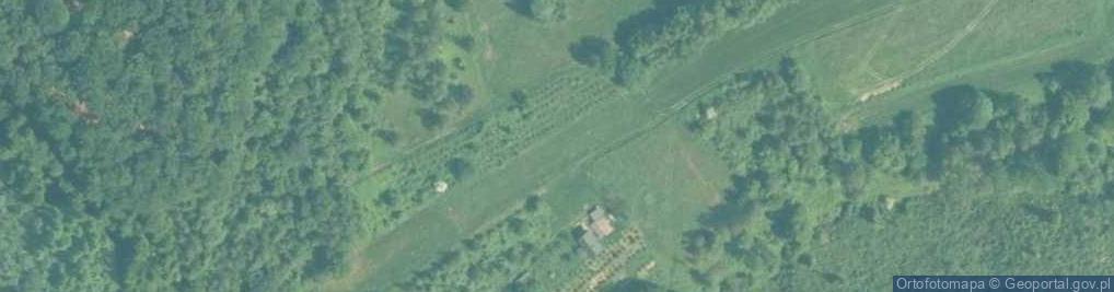 Zdjęcie satelitarne Uroczysko Kamieniec