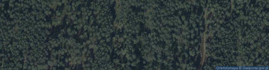 Zdjęcie satelitarne Uroczysko Kapliczna Góra