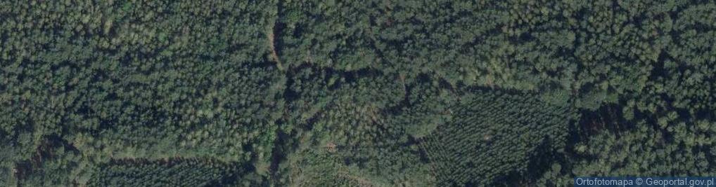 Zdjęcie satelitarne Uroczysko Karczowisko