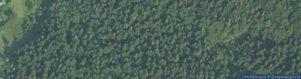 Zdjęcie satelitarne Uroczysko Kobylanka