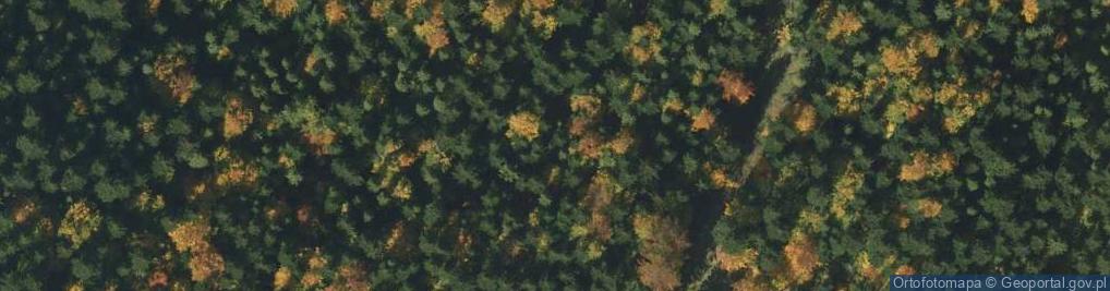 Zdjęcie satelitarne Uroczysko Kobylanka