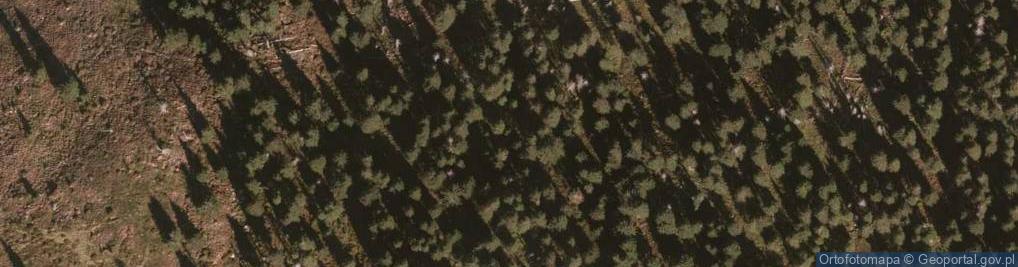 Zdjęcie satelitarne Uroczysko Kocioł Szrenicki