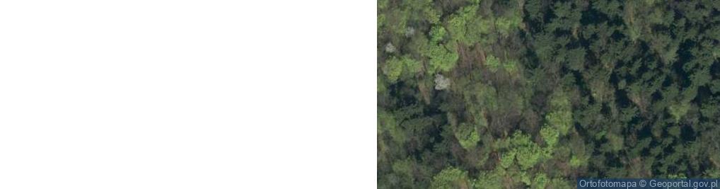 Zdjęcie satelitarne Uroczysko Kocioł