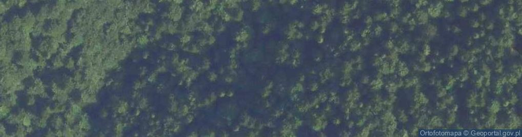 Zdjęcie satelitarne Uroczysko Końskie Doliny