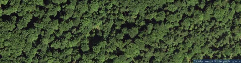 Zdjęcie satelitarne Uroczysko Kosarzyska