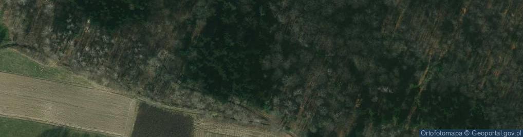 Zdjęcie satelitarne Uroczysko Kozie Doły