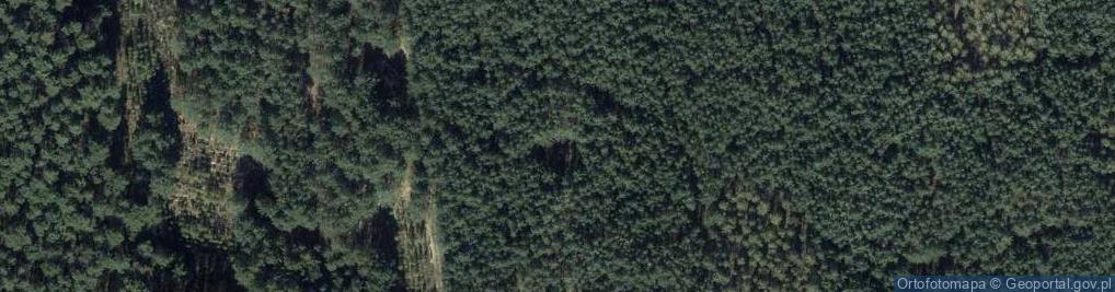 Zdjęcie satelitarne Uroczysko Kozie Góry