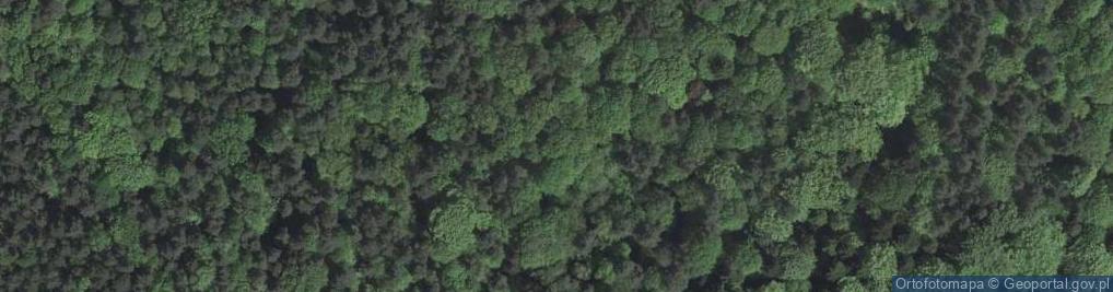 Zdjęcie satelitarne Uroczysko Kozie Kąty