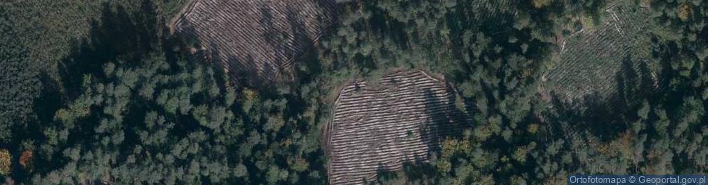 Zdjęcie satelitarne Uroczysko Królewska Góra