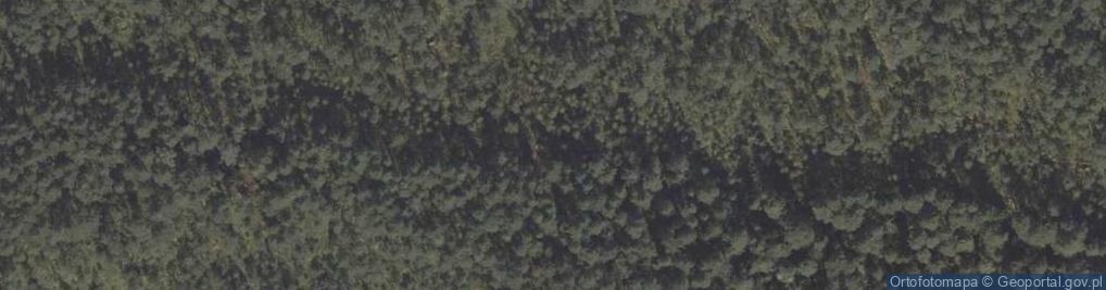 Zdjęcie satelitarne Uroczysko Królowa Góra