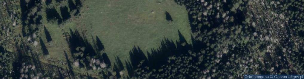 Zdjęcie satelitarne Uroczysko Królowa Polana
