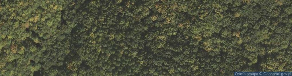 Zdjęcie satelitarne Uroczysko Krzemieniec