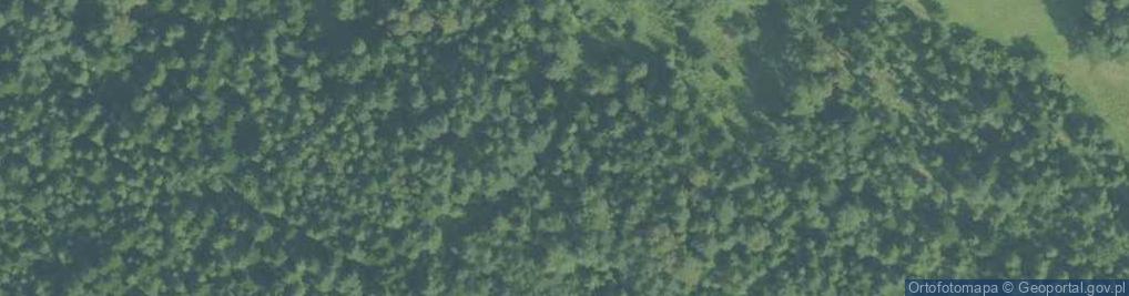 Zdjęcie satelitarne Uroczysko Księzy Las