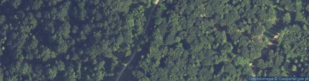 Zdjęcie satelitarne Uroczysko Kuśmiarzówka