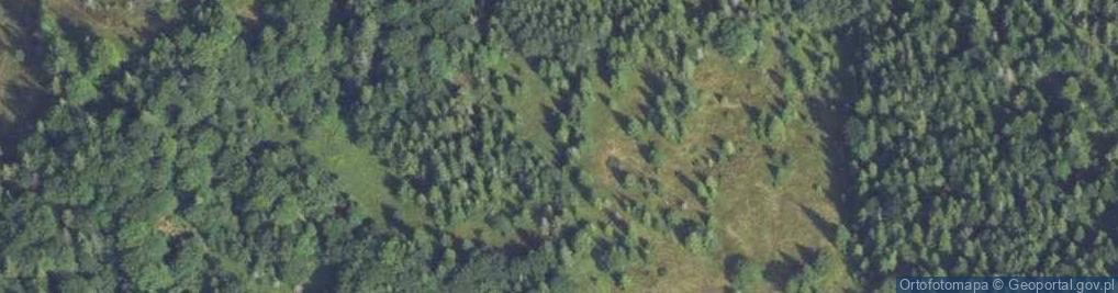 Zdjęcie satelitarne Uroczysko Łaki Mraźnickie