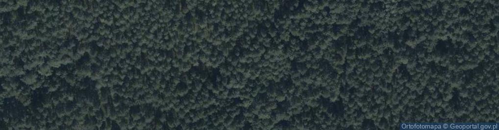 Zdjęcie satelitarne Uroczysko Las Borowiec
