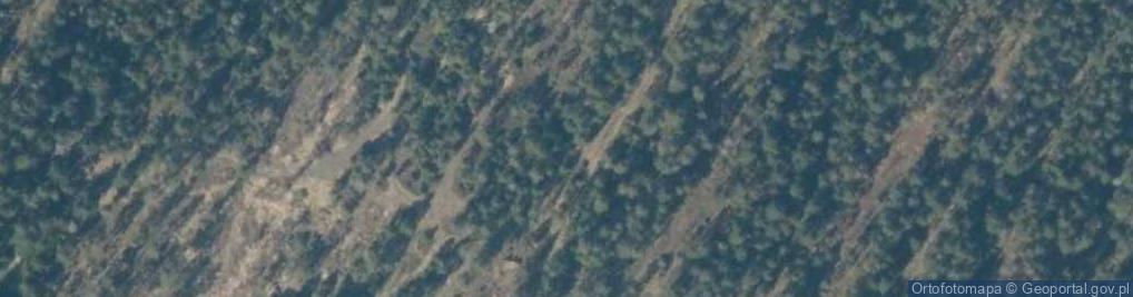 Zdjęcie satelitarne Uroczysko Las Brzegi