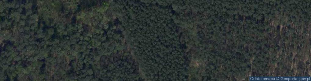 Zdjęcie satelitarne Uroczysko Las Buczyna