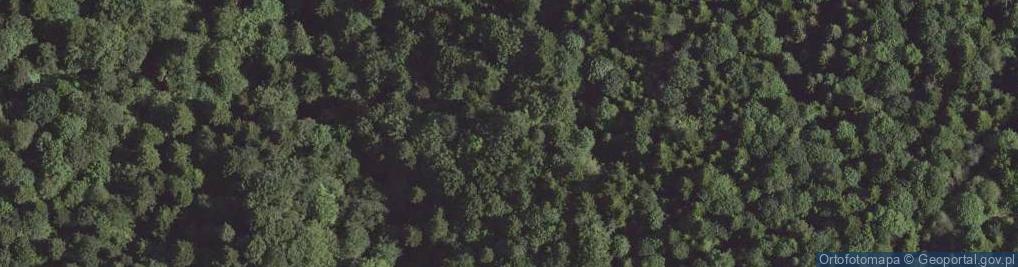 Zdjęcie satelitarne Uroczysko Las Głębokie