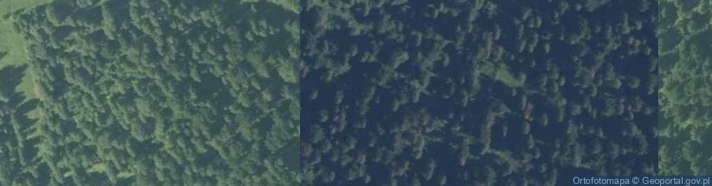 Zdjęcie satelitarne Uroczysko Las Głeboki