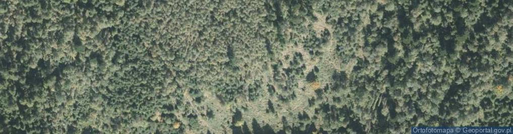 Zdjęcie satelitarne Uroczysko Las Gminny