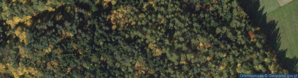 Zdjęcie satelitarne Uroczysko Las Gorcański