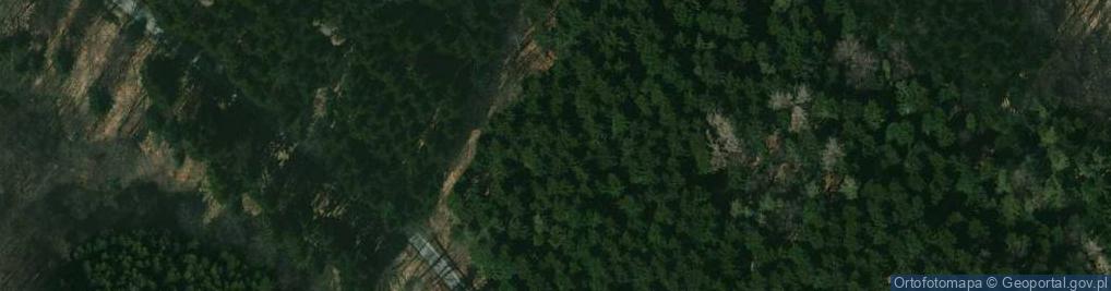 Zdjęcie satelitarne Uroczysko Las Górski