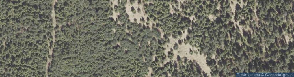 Zdjęcie satelitarne Uroczysko Las Grel