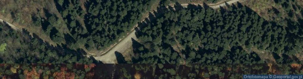 Zdjęcie satelitarne Uroczysko Las Jędrzejówka