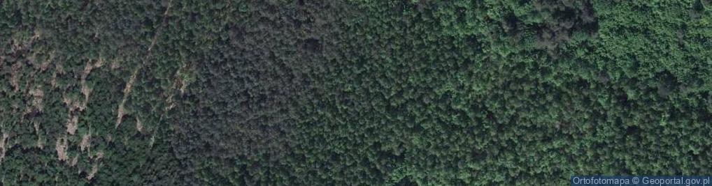 Zdjęcie satelitarne Uroczysko Las Kijowiec