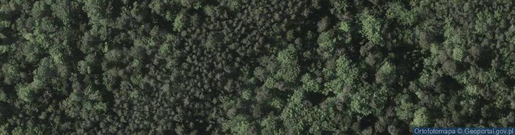 Zdjęcie satelitarne Uroczysko Las Klasztorny