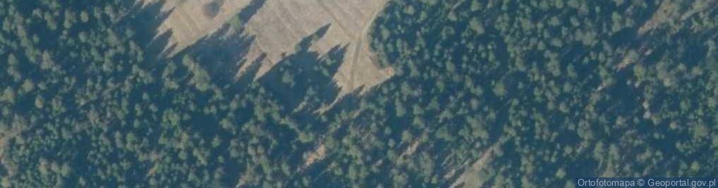 Zdjęcie satelitarne Uroczysko Las Krzywań