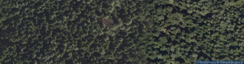 Zdjęcie satelitarne Uroczysko Las Kunowski