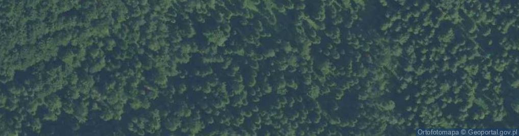 Zdjęcie satelitarne Uroczysko Las Kurowski