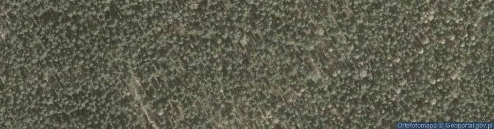 Zdjęcie satelitarne Uroczysko Las Malin