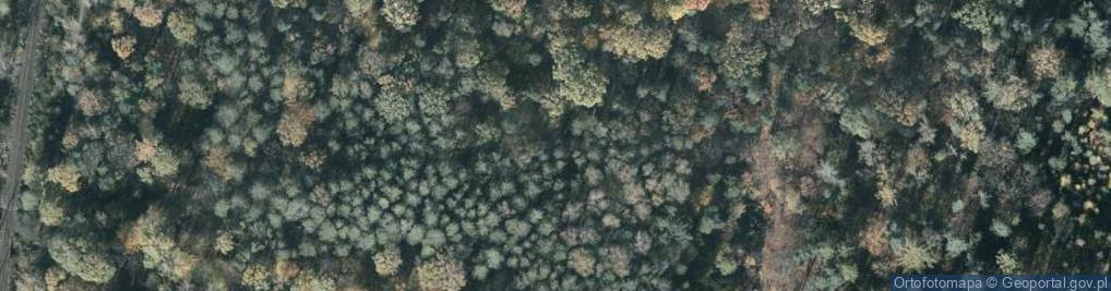 Zdjęcie satelitarne Uroczysko Las Miejski