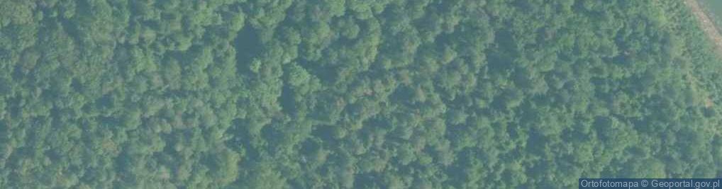Zdjęcie satelitarne Uroczysko Las Mucharski