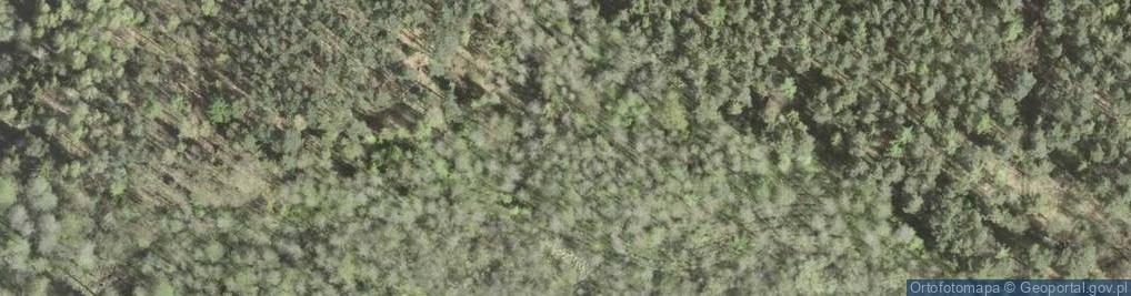 Zdjęcie satelitarne Uroczysko Las na Łąkach