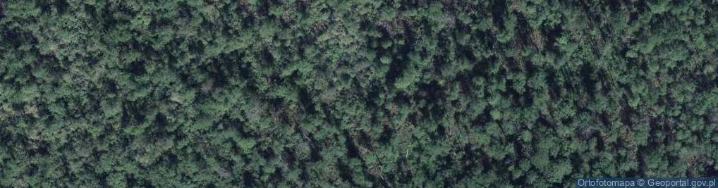 Zdjęcie satelitarne Uroczysko Las Ochodża