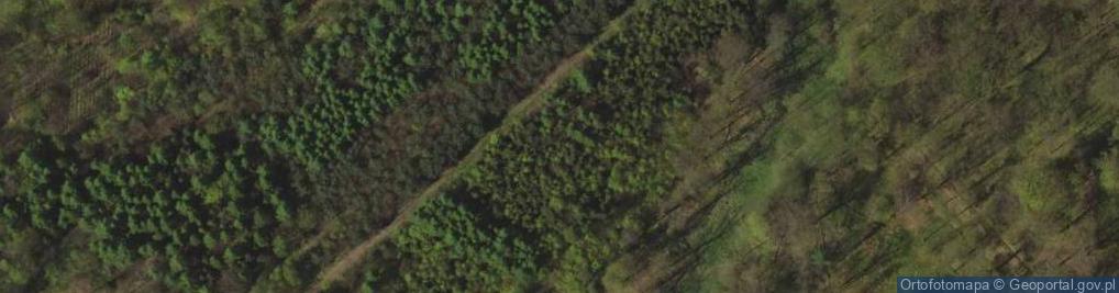 Zdjęcie satelitarne Uroczysko Las Parchowiec