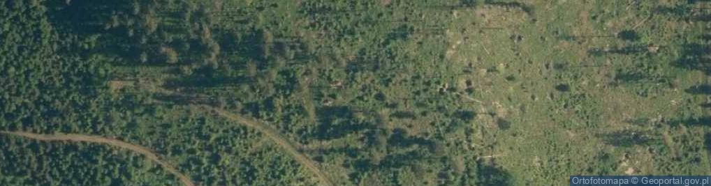 Zdjęcie satelitarne Uroczysko Las Piekielnicki