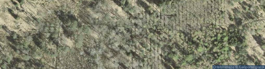 Zdjęcie satelitarne Uroczysko Las Przewory