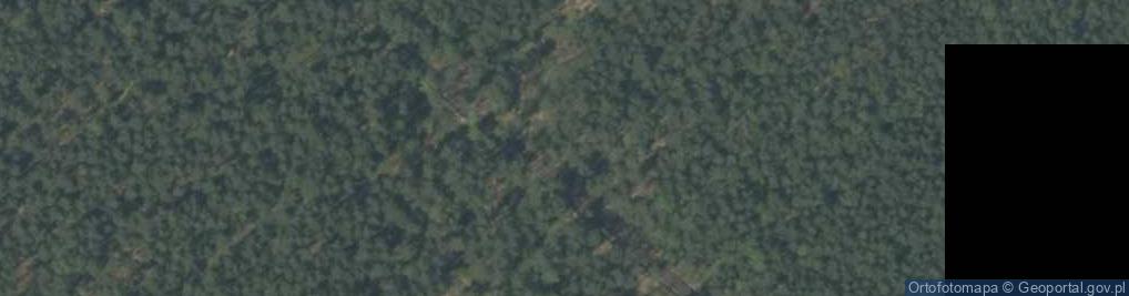 Zdjęcie satelitarne Uroczysko Las Psarski