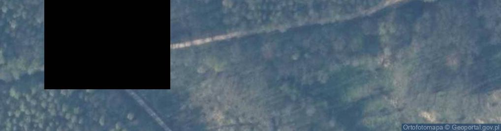 Zdjęcie satelitarne Uroczysko Las Sarnowo