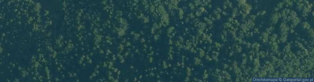 Zdjęcie satelitarne Uroczysko Las Skałki