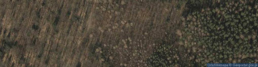 Zdjęcie satelitarne Uroczysko Las Skotnik