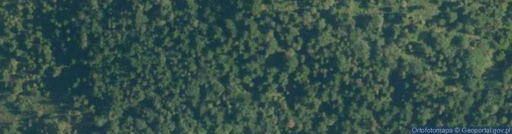 Zdjęcie satelitarne Uroczysko Las Strumków